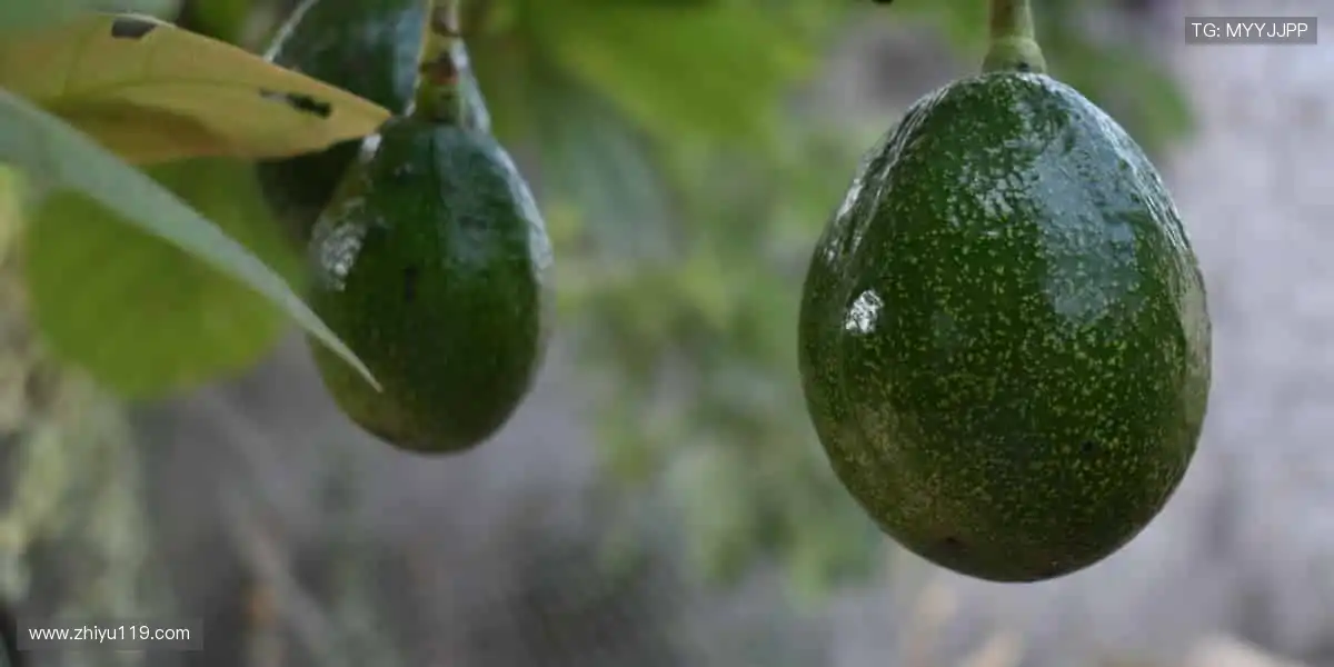 装备你的运动人生！🎯